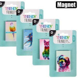 Magnet pets asstd